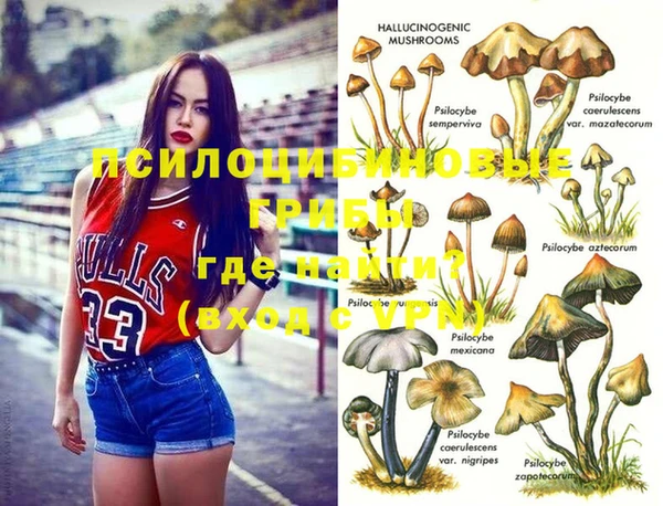 марки lsd Горняк