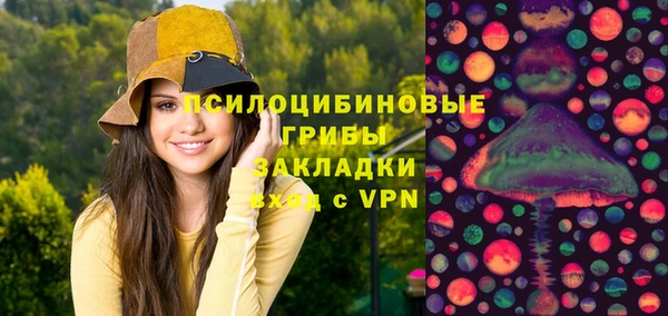 spice Горно-Алтайск