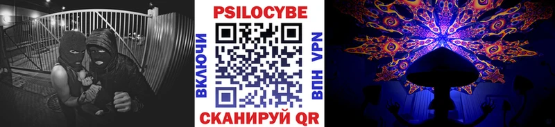 Псилоцибиновые грибы Psilocybe  Десногорск 