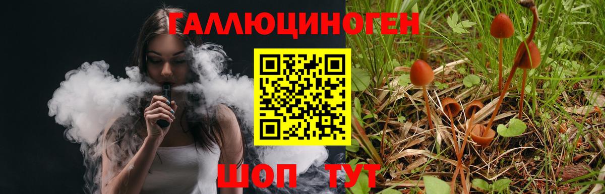 Псилоцибиновые грибы мицелий Десногорск